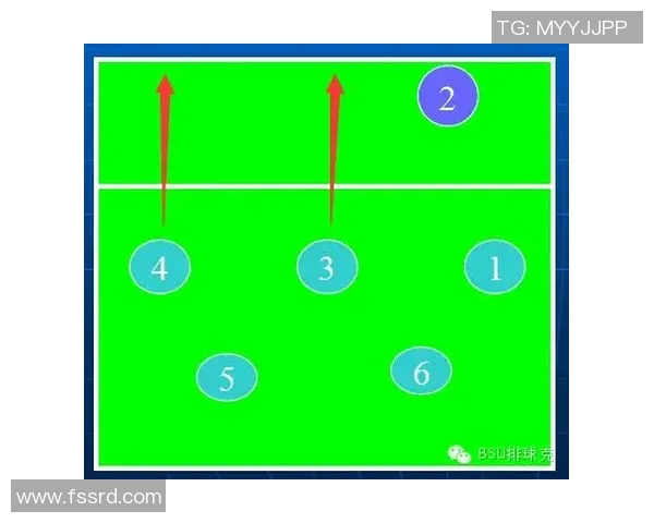 重庆排球队进攻策略解析：深度剖析排球战术与团队协作技巧